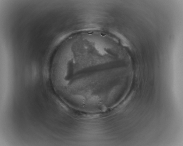 X0000113861407200909241258