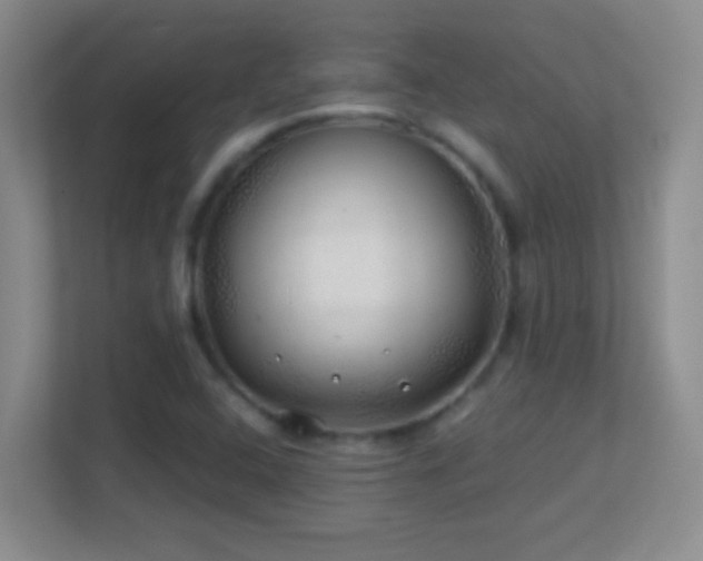 X0000113861408200909241258