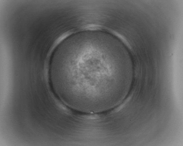 X0000113861410200909241258