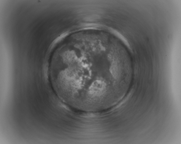 X0000113861411200909241258