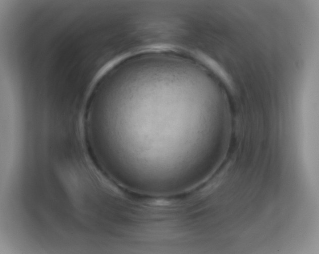 X0000113861412200909241258