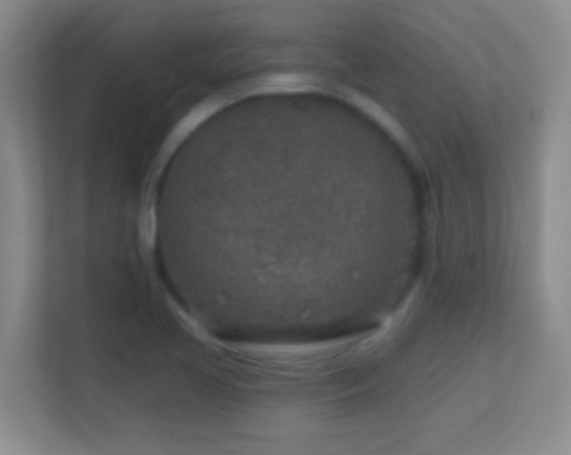X0000113861413200909241258