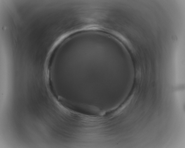 X0000113861414200909241258