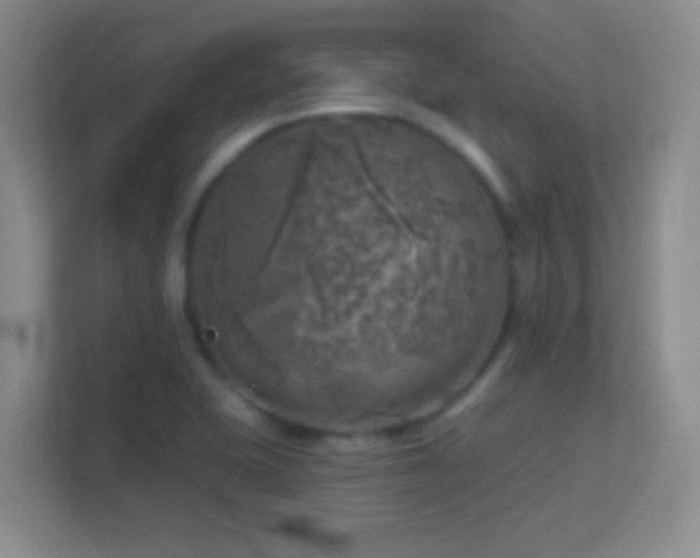 X0000113861415200909241258