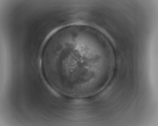 X0000113861416200909241258