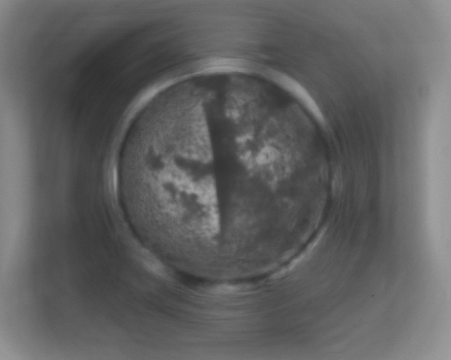 X0000113861419200909241258