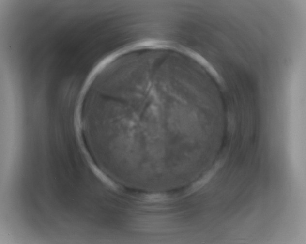 X0000113861421200909241258