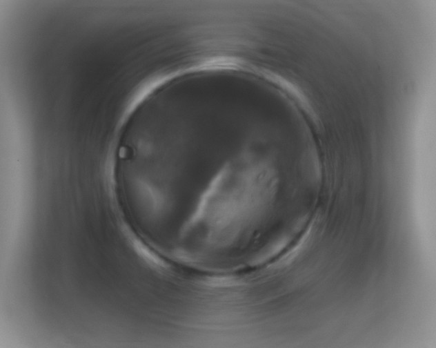 X0000113861422200909241258