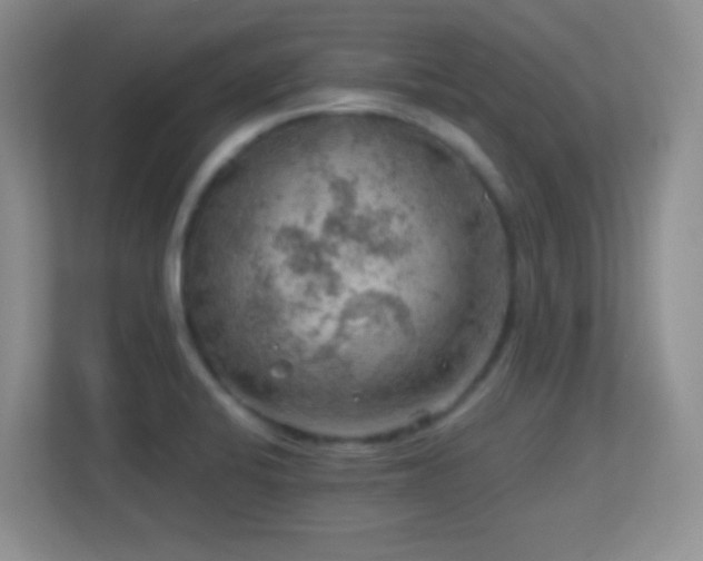X0000113861424200909241259