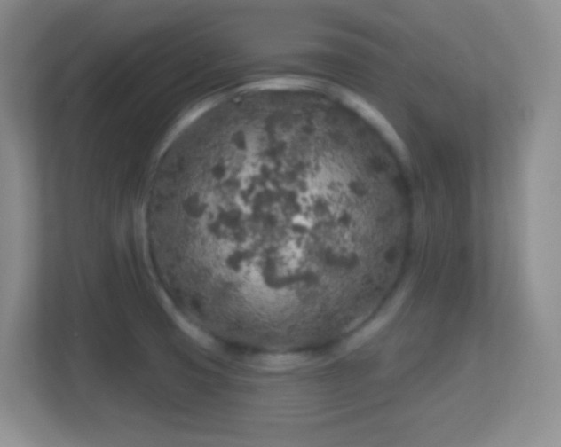 X0000113861425200909241259