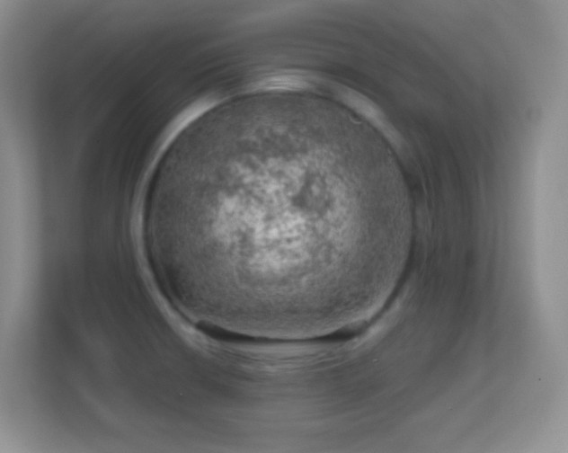X0000113861426200909241259