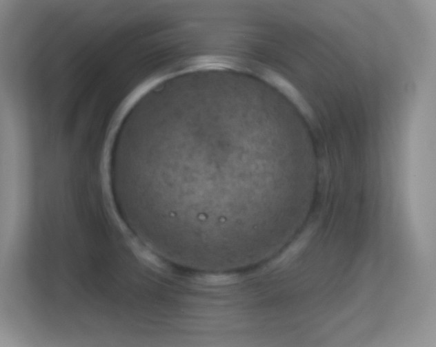 X0000113861427200909241259