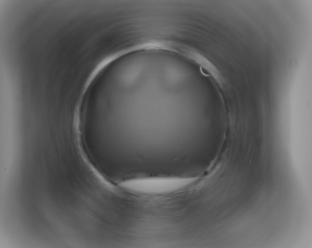 X0000113861428200909241259