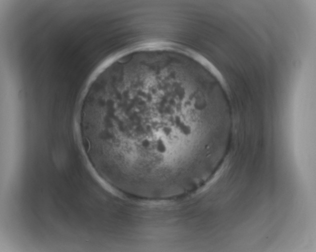 X0000113861429200909241259