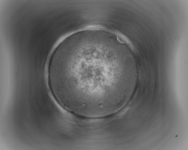 X0000113861430200909241259