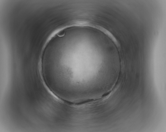 X0000113861432200909241259