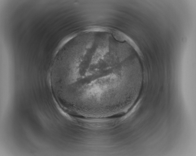 X0000113861433200909241259