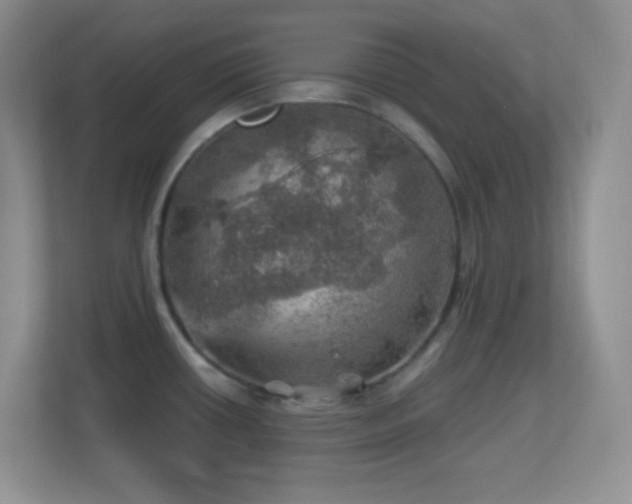 X0000113861434200909241259