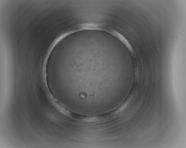 X0000113861435200909241259