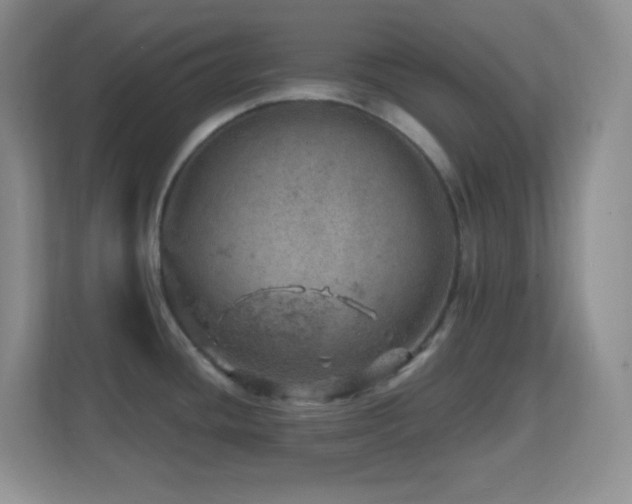 X0000113861436200909241259