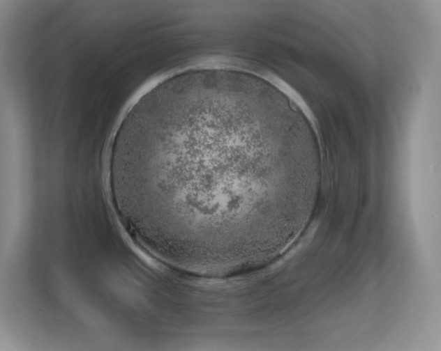X0000113861437200909241259