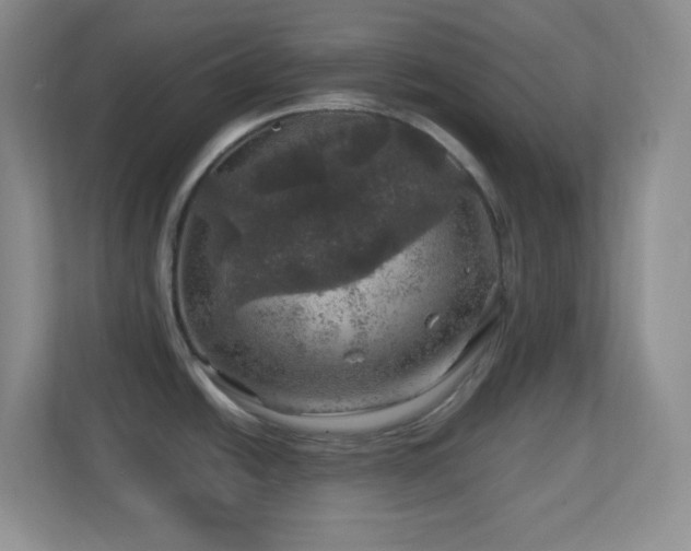 X0000113861438200909241259