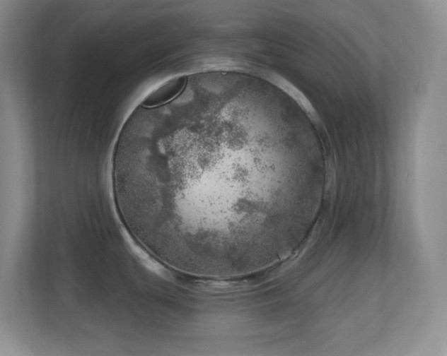 X0000113861439200909241259
