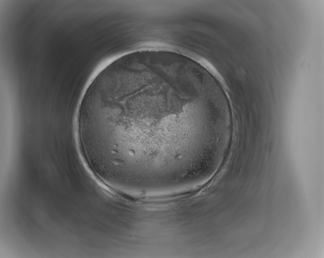 X0000113861440200909241259