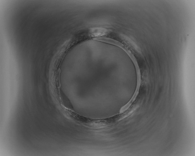 X0000113861441200909241258