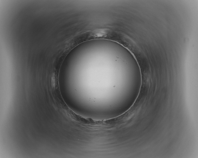 X0000113861442200909241258