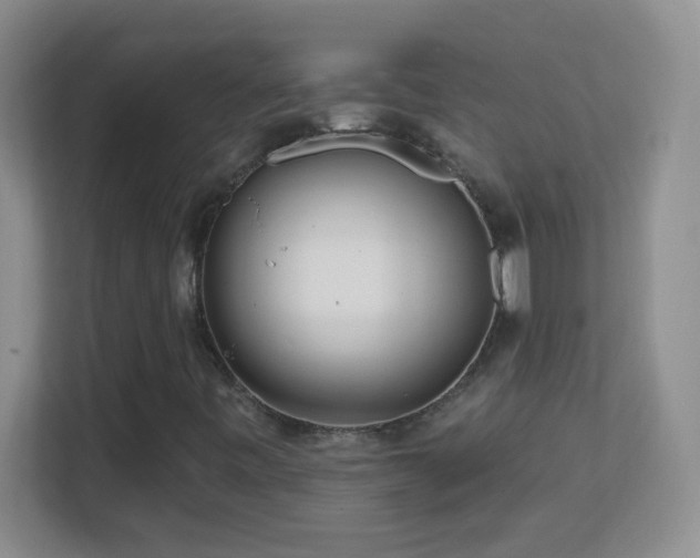 X0000113861443200909241258