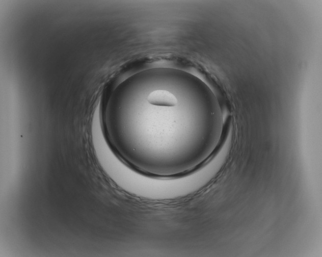 X0000113861445200909241258