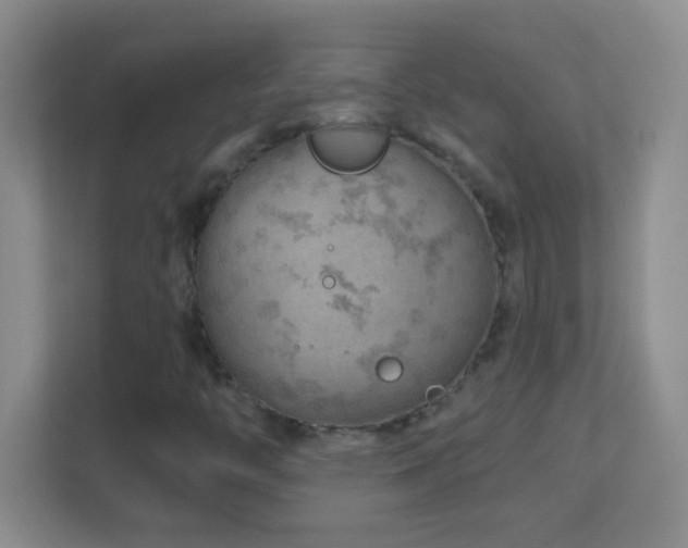 X0000113861446200909241258