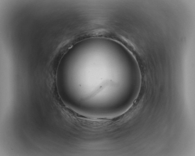 X0000113861447200909241258