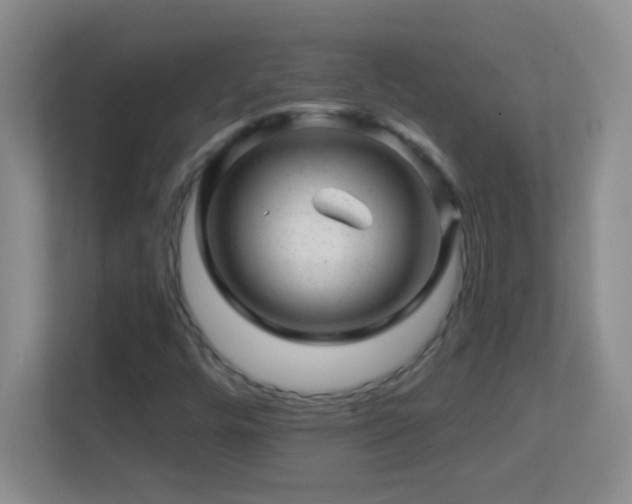X0000113861448200909241258