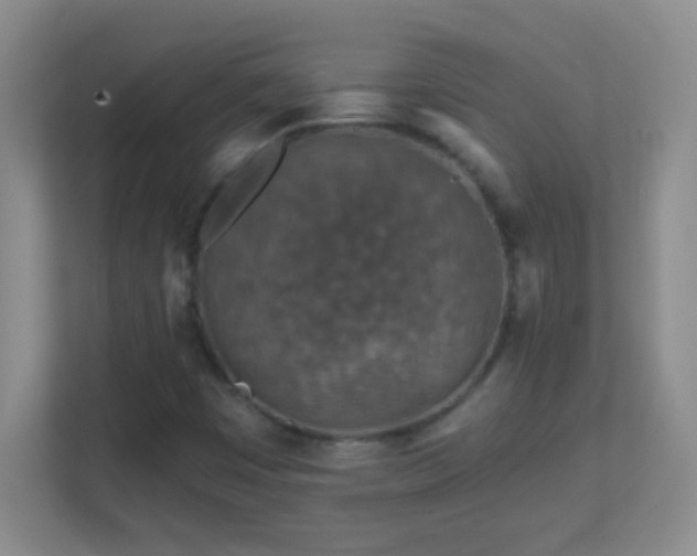 X0000113861449200909241258