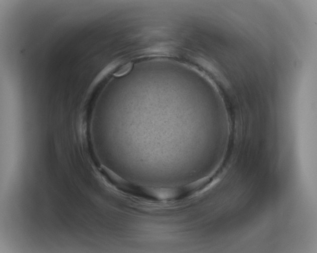 X0000113861450200909241258