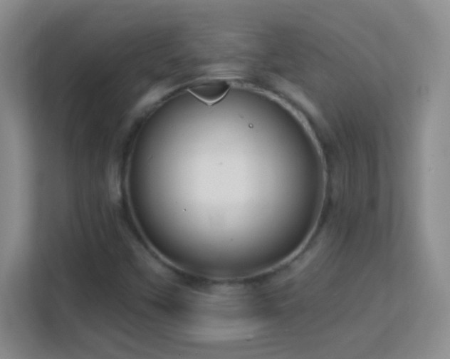 X0000113861451200909241258