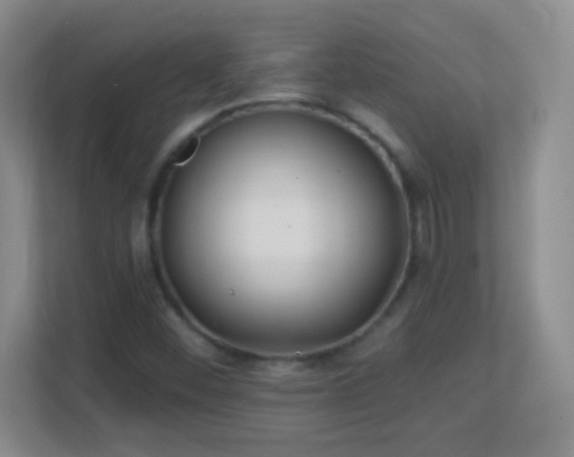 X0000113861452200909241258