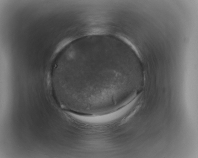 X0000113861453200909241258