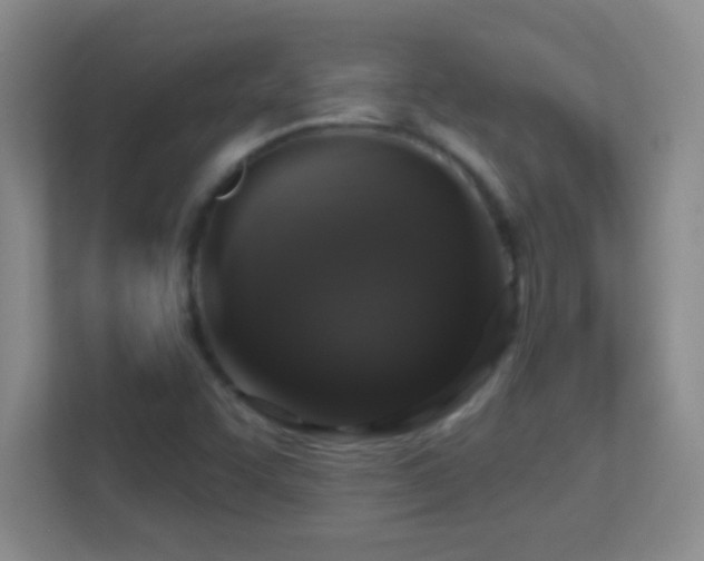 X0000113861455200909241258