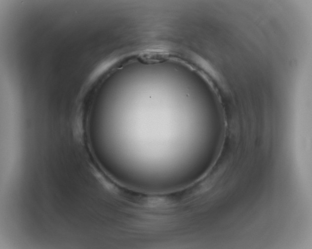 X0000113861456200909241258