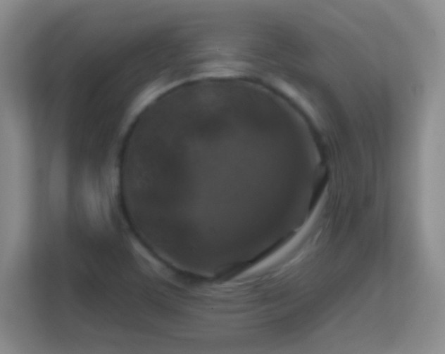 X0000113861459200909241258