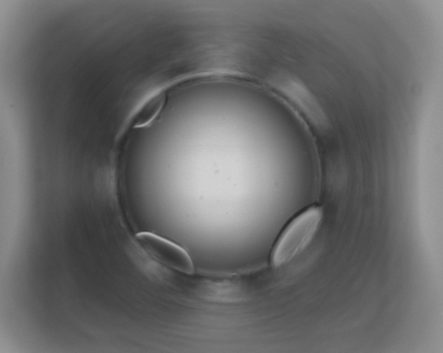 X0000113861460200909241258