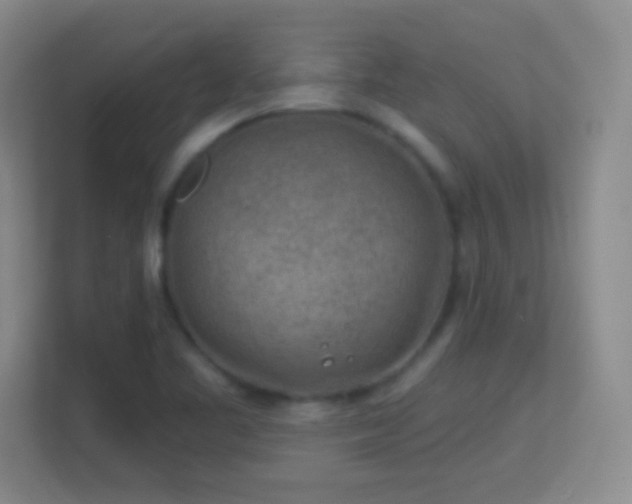 X0000113861461200909241258