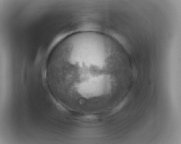 X0000113861462200909241258