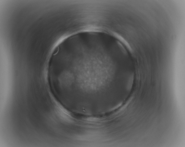 X0000113861463200909241258