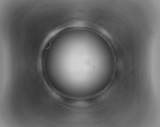 X0000113861464200909241258