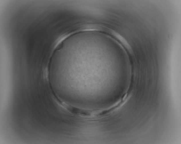 X0000113861465200909241258