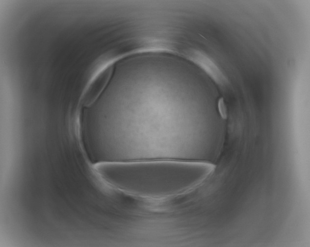X0000113861468200909241258